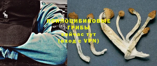 дурь Богданович